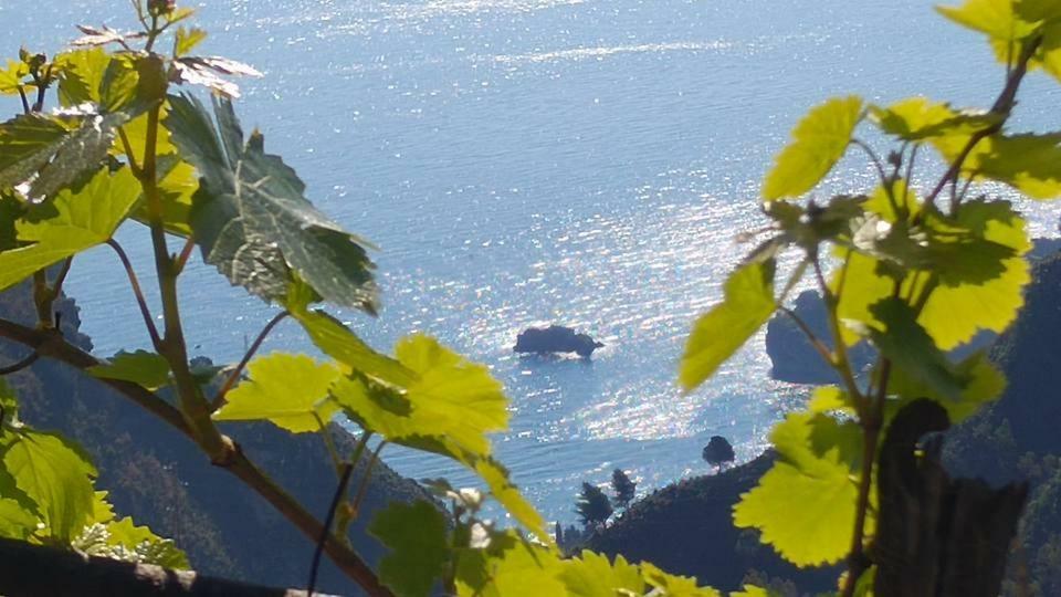 Casa Il Faro Villa Con Piscina Castelmola Luaran gambar